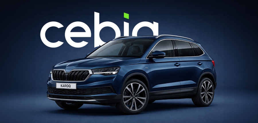 Reference 1: Brand identita